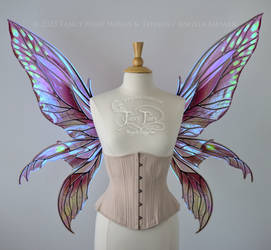 Fayette Wings in 'Poison Plum'