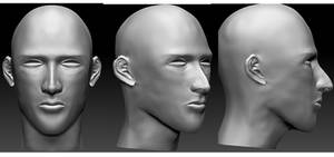 Sculpted head