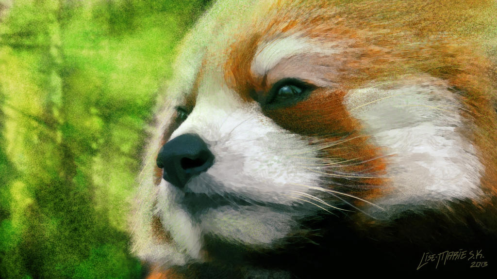 + Red Panda +