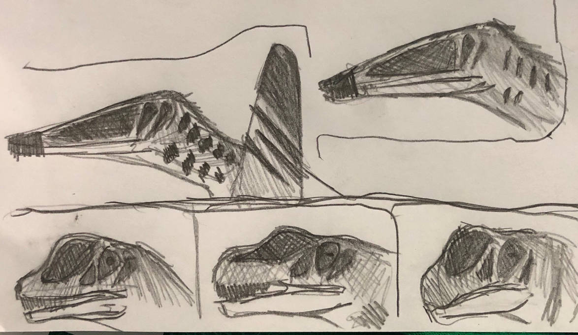 Random head impressions by MakairodonX on DeviantArt