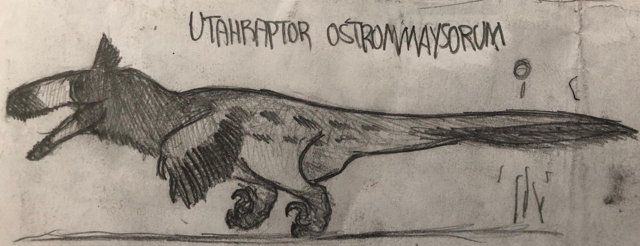 Utaraptor Utahraptor Ostrommaysorum impression by MakairodonX on DeviantArt
