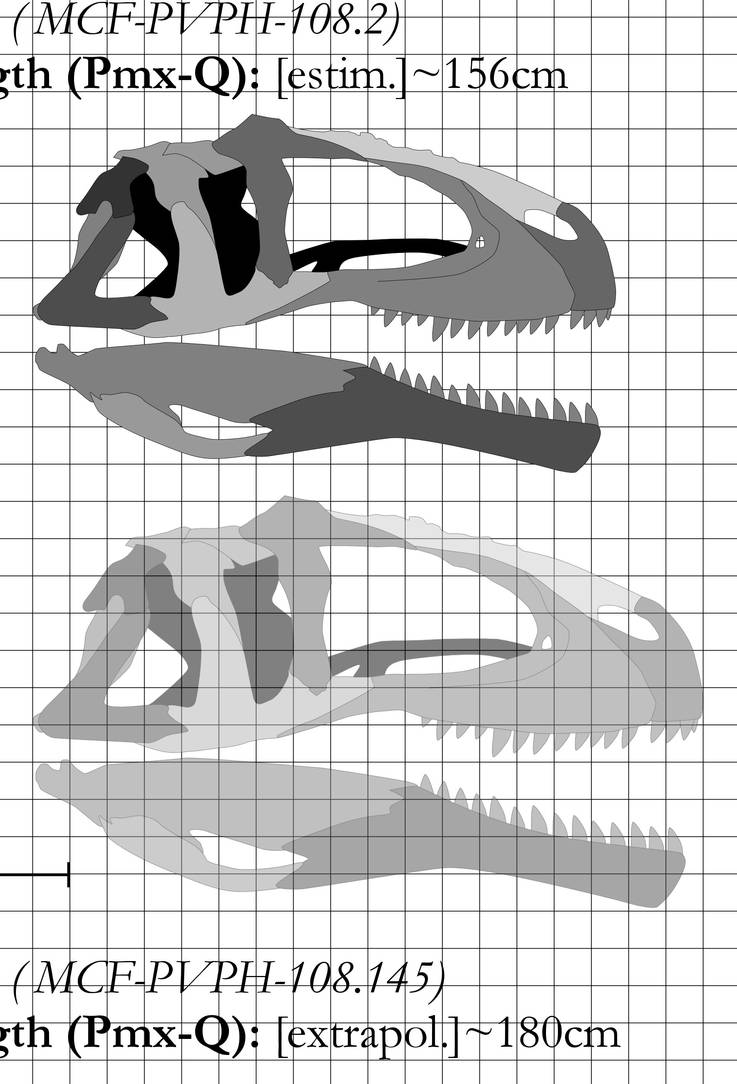 Mapusaurus skull reference by MakairodonX on DeviantArt
