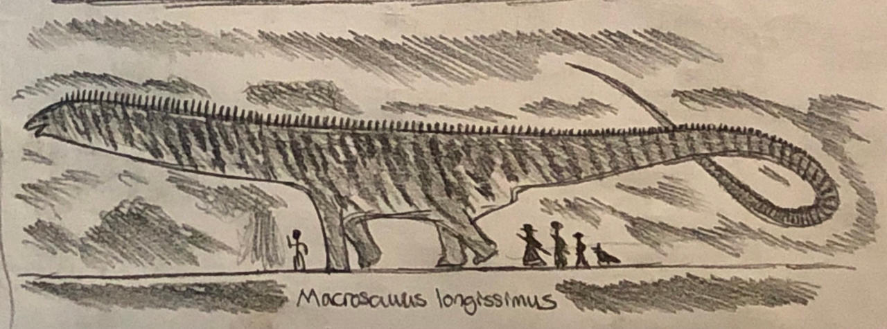 Macrosaurus longissumus by MakairodonX on DeviantArt