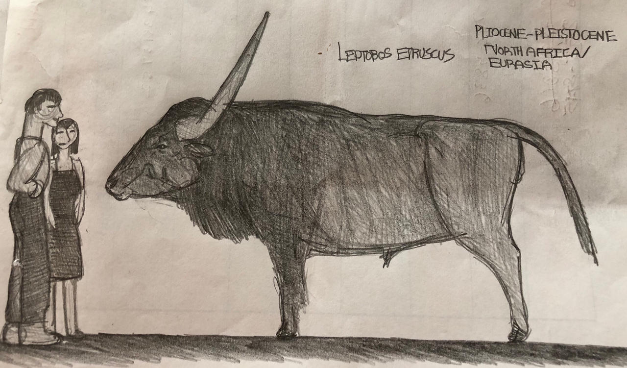 Leptobos etruscus by MakairodonX on DeviantArt Leptobos etruscus by MakairodonX on DeviantArt
