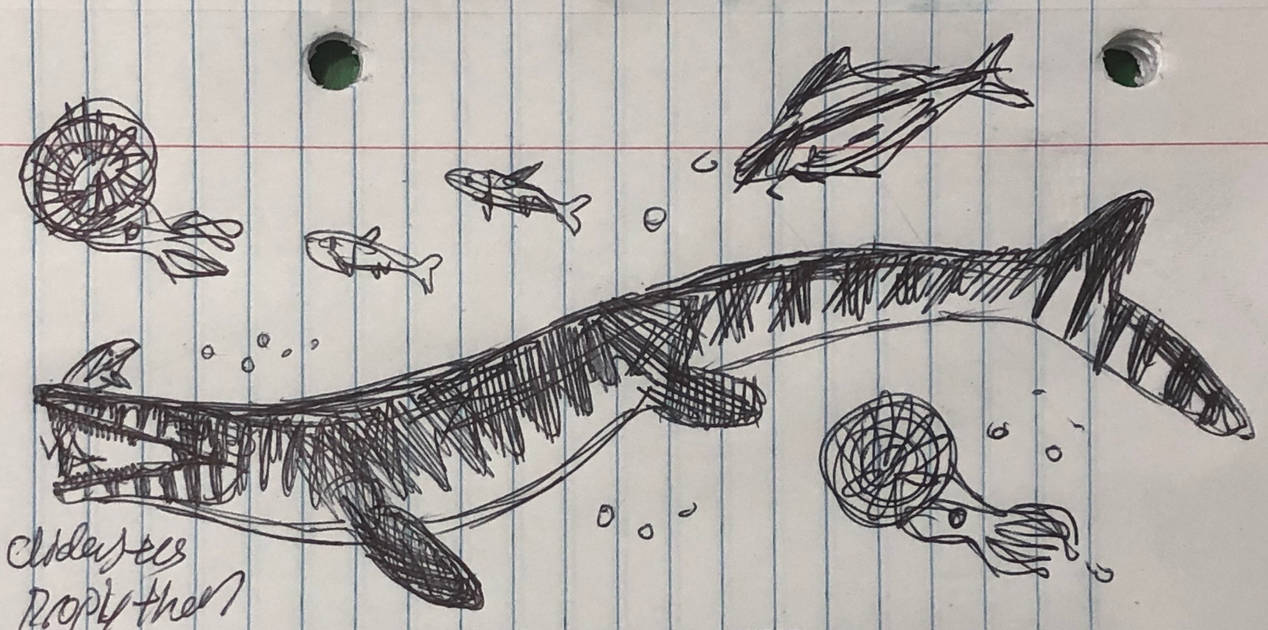 Pen drawing of Clidastes propython by MakairodonX on DeviantArt