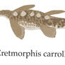 Eretmorphis carrolldongi