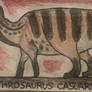 Impression on Corythrosaurus casuarius