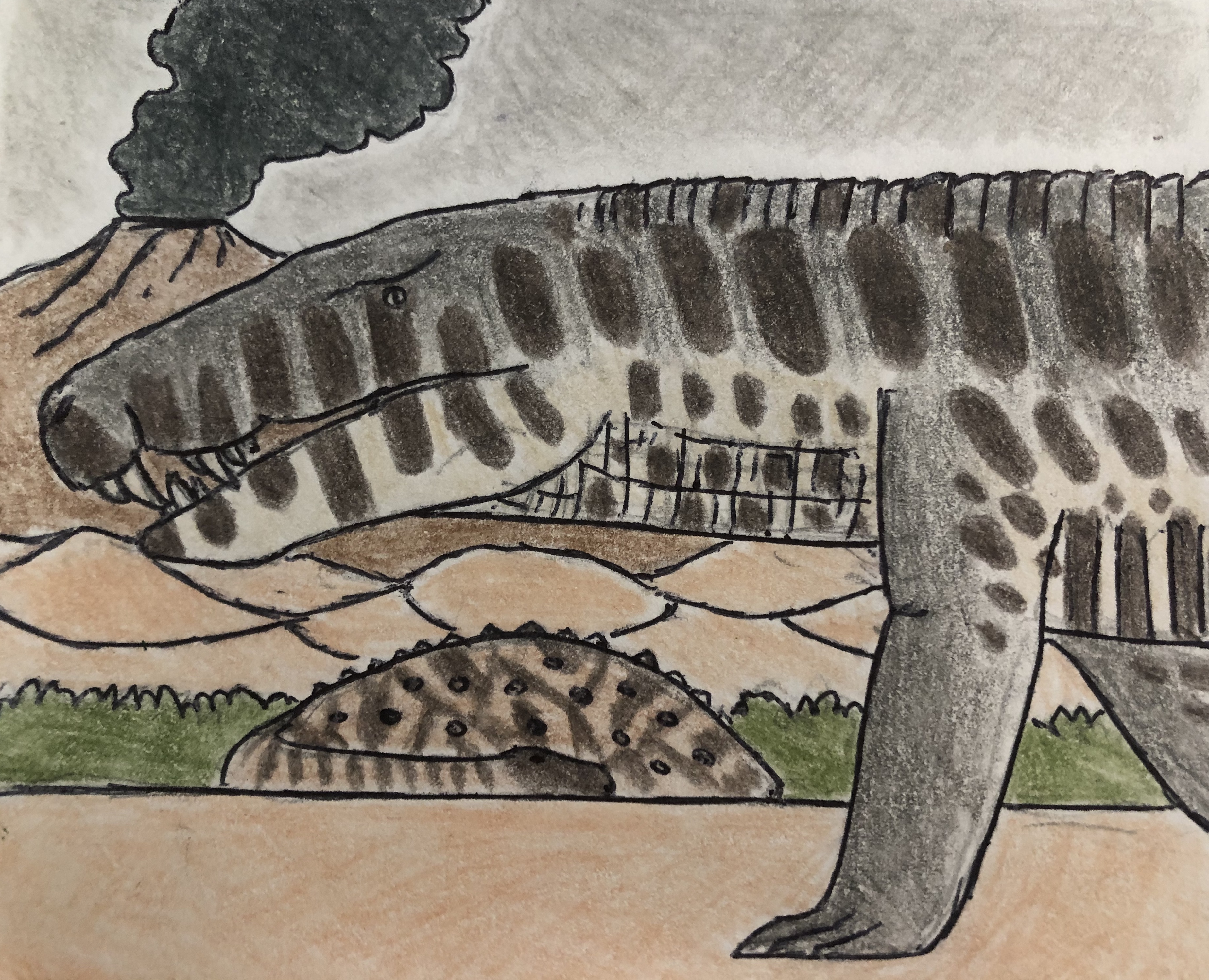 Baurusuchus Baurusuchus on Patrol by MakairodonX on DeviantArt