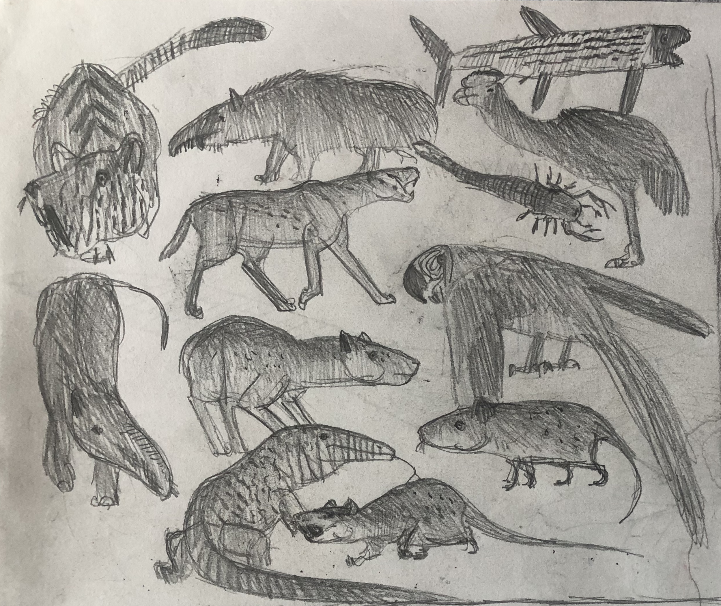 Collection of Random Imaginary Animals by MakairodonX on DeviantArt Collection of Random Imaginary Animals by MakairodonX on DeviantArt
