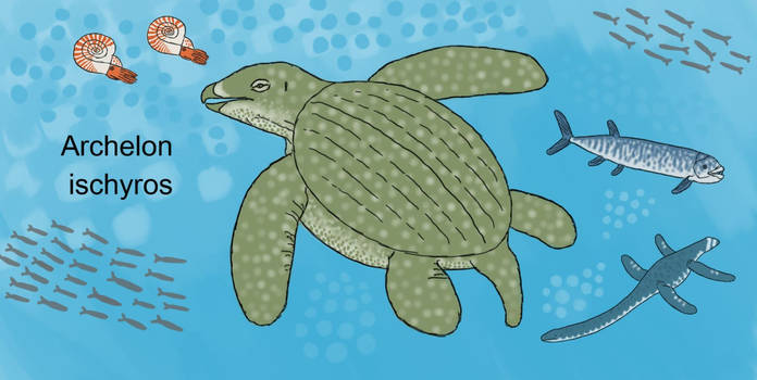 Archelon Rib Explore the Best Archelon Art | DeviantArt