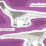 Two Camarasaurus species