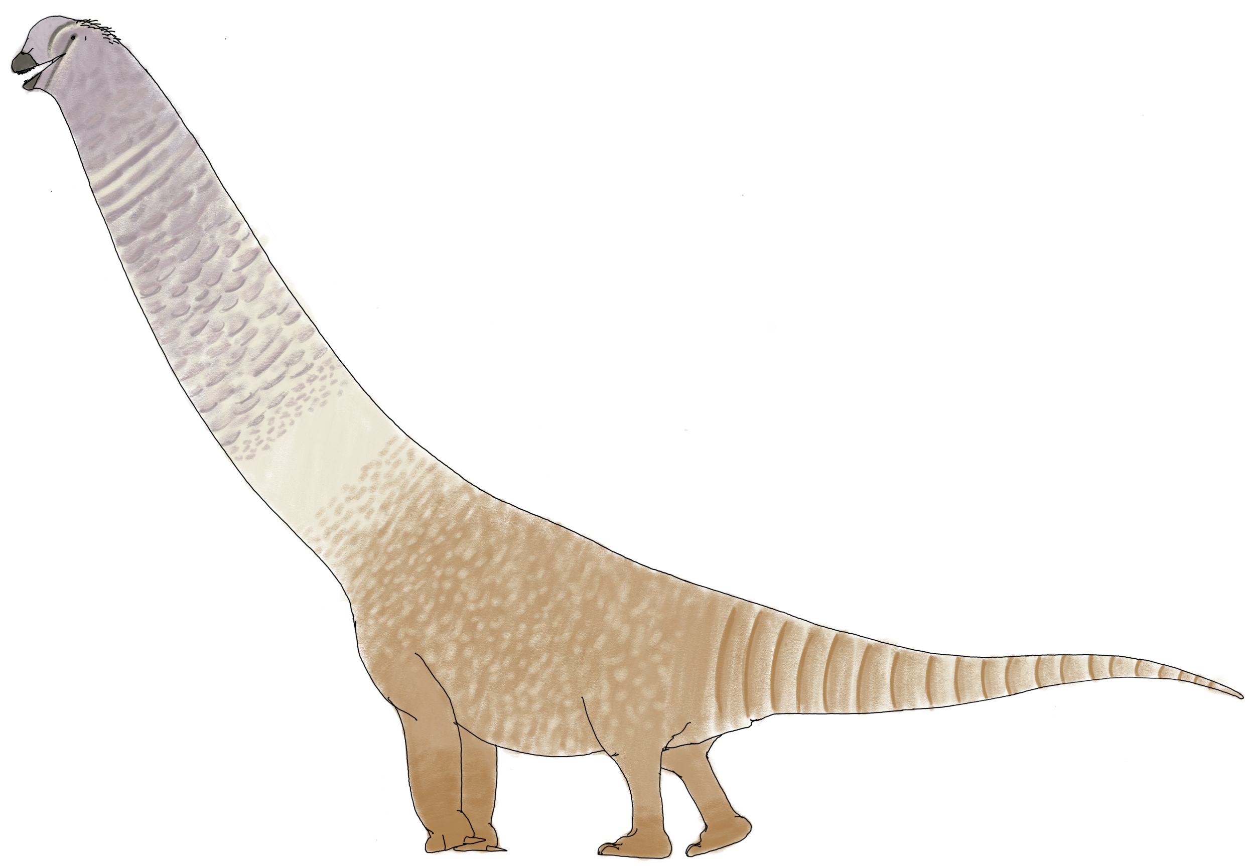 Argentinosaurus huinculensis by Ognimdo2002 on DeviantArt