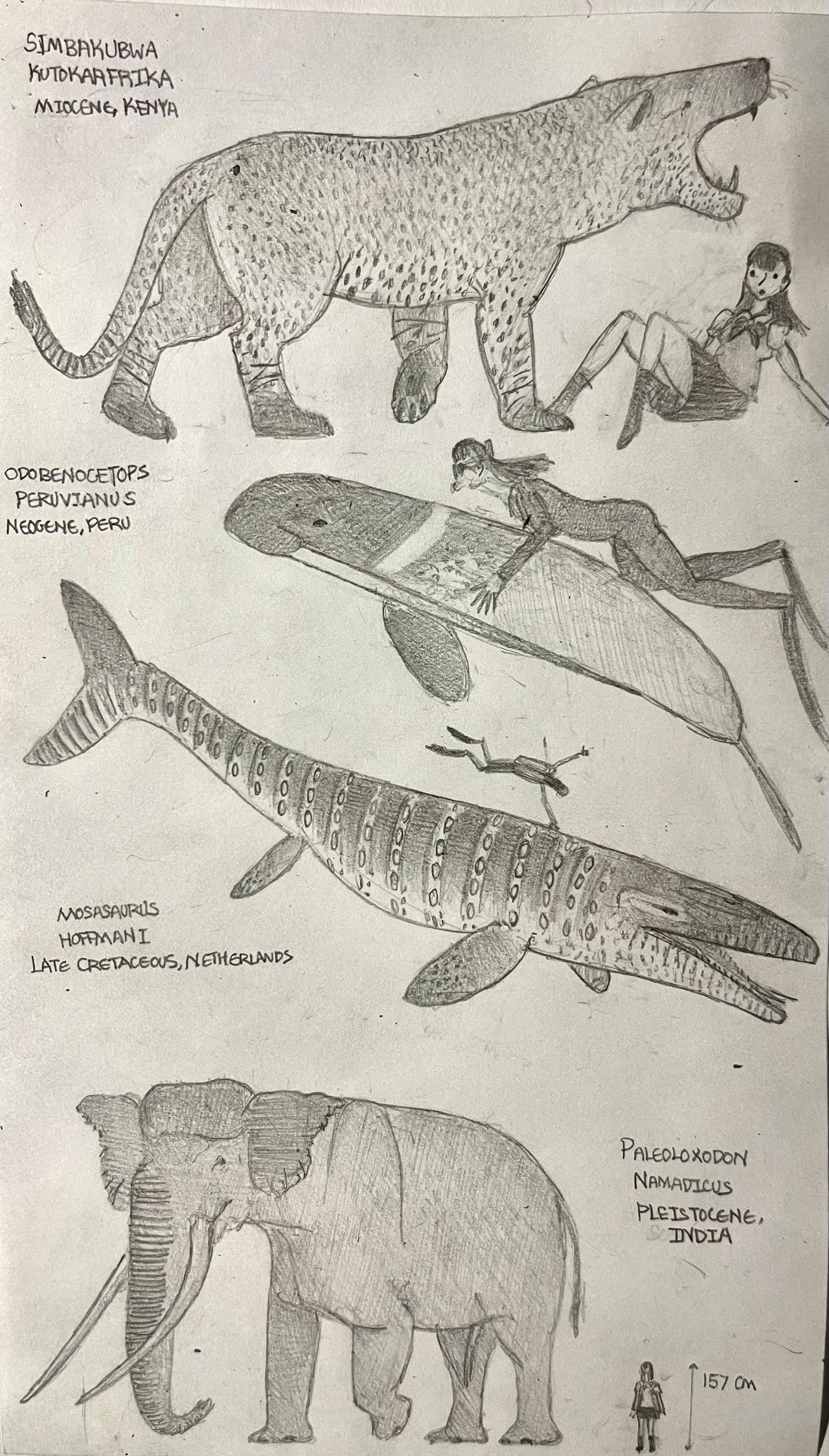 Four Random Creature Sketches by MakairodonX on DeviantArt