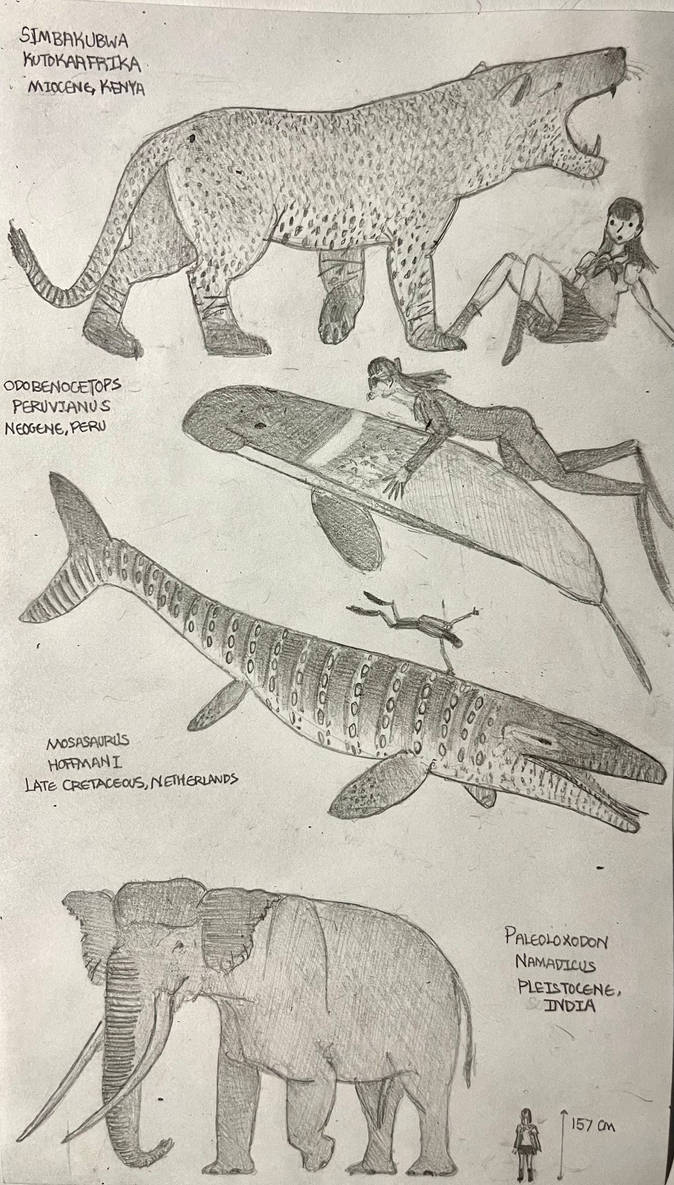 Four Random Creature Sketches by MakairodonX on DeviantArt