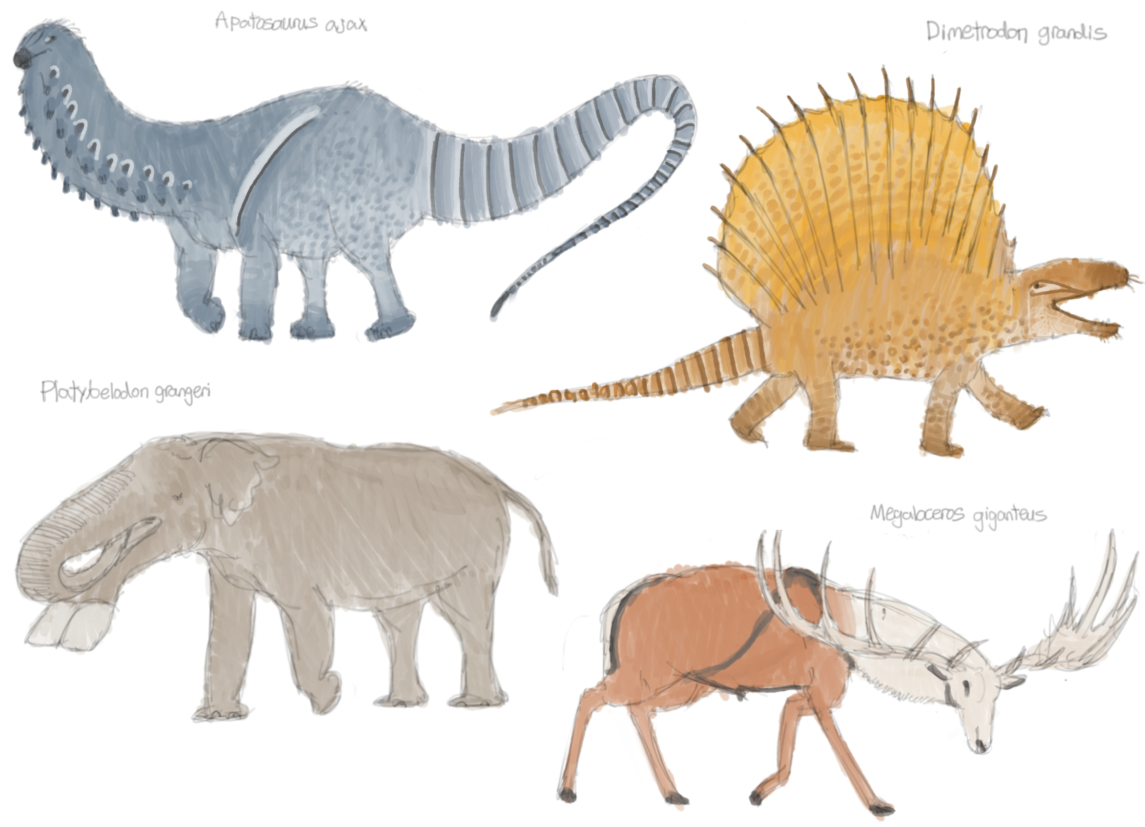 Random Creature Sketches Part 1 by MakairodonX on DeviantArt