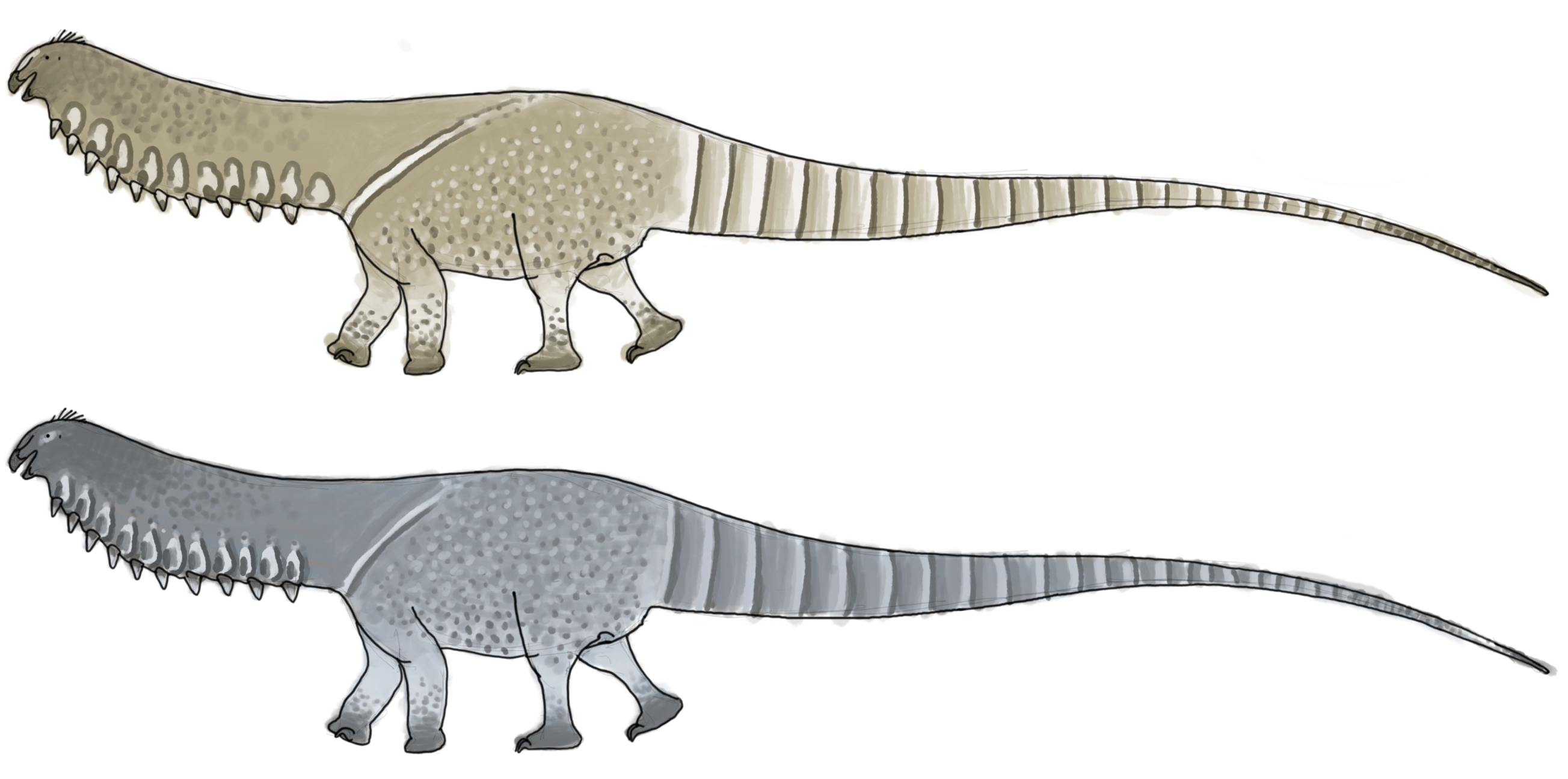 Creature collection: Apatosaurus by MakairodonX on DeviantArt