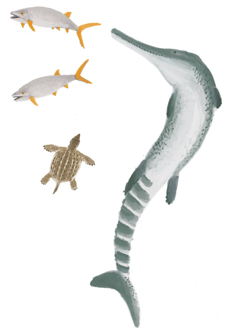 Thalattosuchus superciliosus chasing Hypsocormus by MakairodonX on