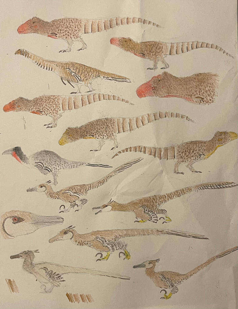 Coelurus Deviantart Some random Coelurosaur sketches by MakairodonX on DeviantArt