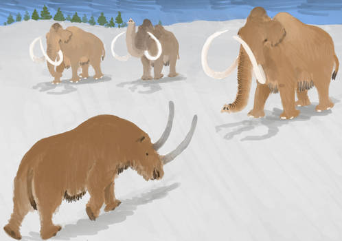 An Ice Age Standoff