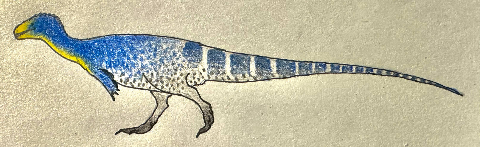 Chilesaurus diegosuarezi Impression