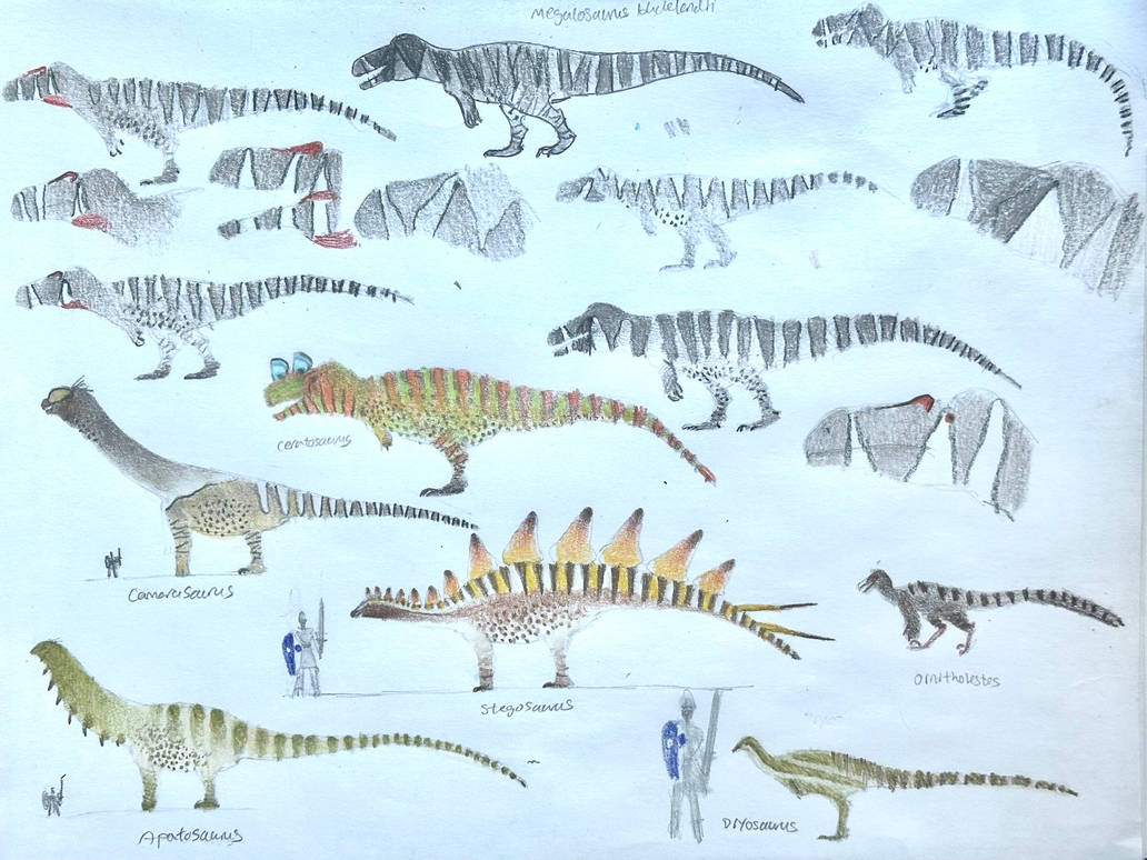Metrisaurus Drawing Megalosaurus and Morrison Dino sketches by MakairodonX on DeviantArt
