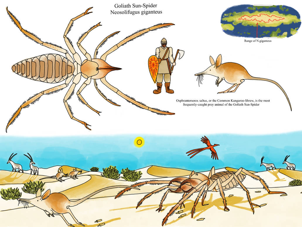 Specterium Spectember 2024 Day 25: Goliath Sun Spider by MakairodonX on DeviantArt