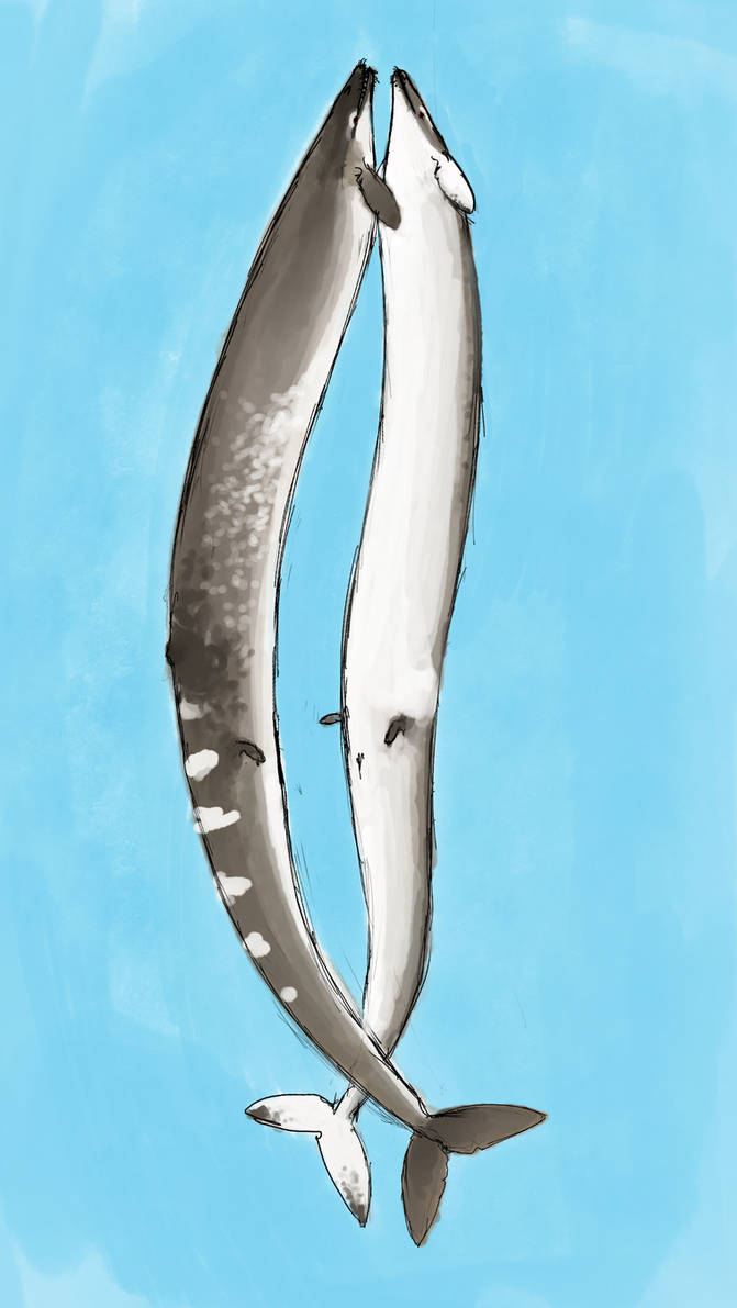 Basilosaurus Deviantart Basilosaurus for world whale day by MakairodonX on DeviantArt