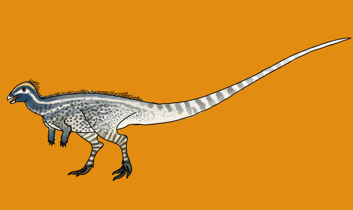 Paleo-Files: Enigmacursor mollyborthwickae by MakairodonX on DeviantArt