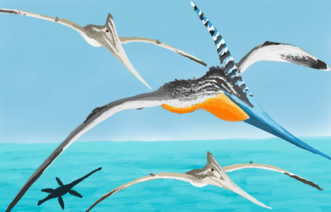 Pteranodons in their Element by MakairodonX on DeviantArt