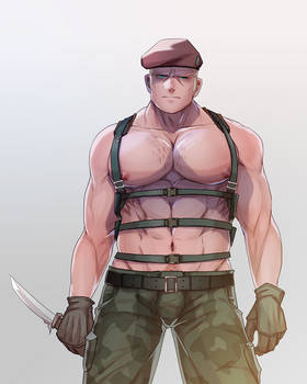 Krauser 