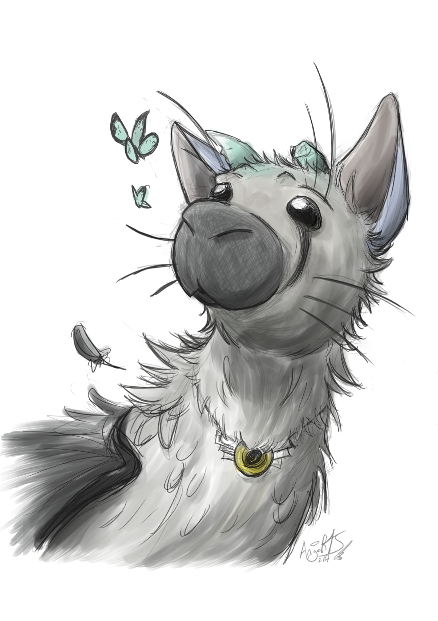 The Last Guardian : Trico Sketch by AngelMJ on DeviantArt