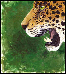 jaguar