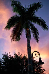 Naples Pier