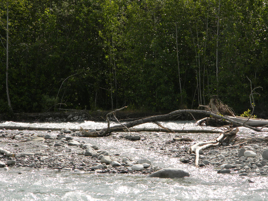 Alaska River Stock