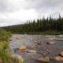 Alaska River 12