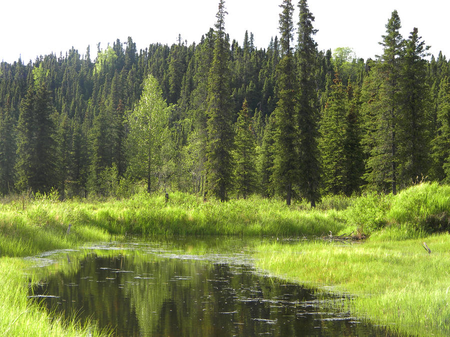 Alaska Lake 10