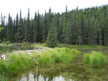 Horseshoe Lake 6