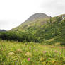 Crow's Pass Mountains Field 3