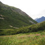 Crow's Pass Mountains Field 5