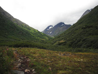 Crow's Pass Mountains Field 7