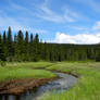 Alaska River 30