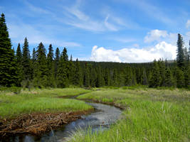 Alaska River 30