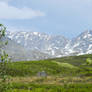 Alaska Landscape 5