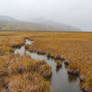 Marsh 9
