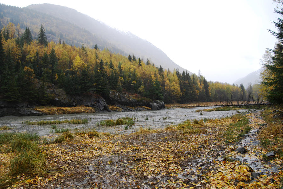 Muddy River 6
