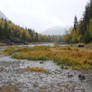 Muddy River 19
