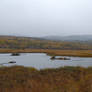 Marsh Panorama 2