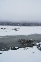 Winter Lake 4