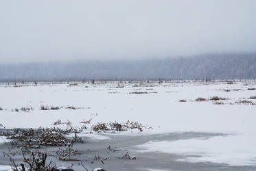 Winter Lake 11
