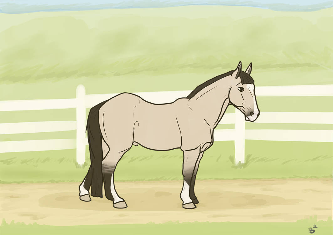 PPS Flint Rider by DeadChesh on DeviantArt